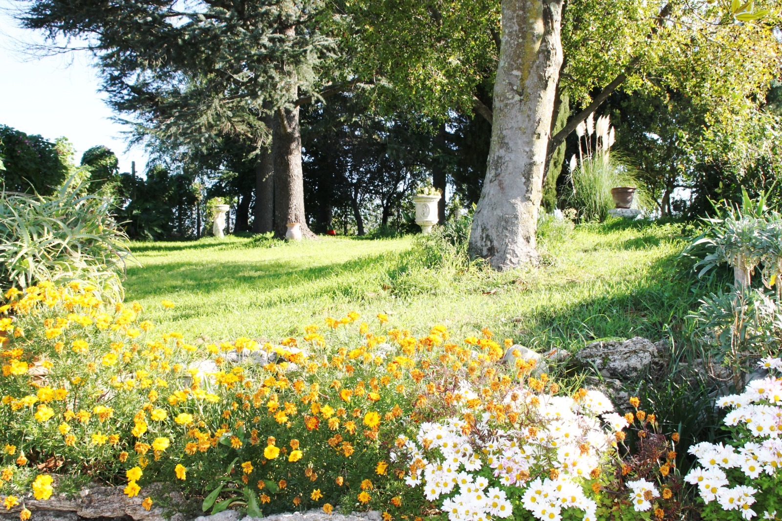 Giardino fiorito di proprietà immobiliare a Viterbo